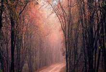 华体会体育：2025未来之光韶山越野赛圆满落幕2025-03-25.